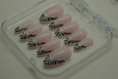 Classic Zebra